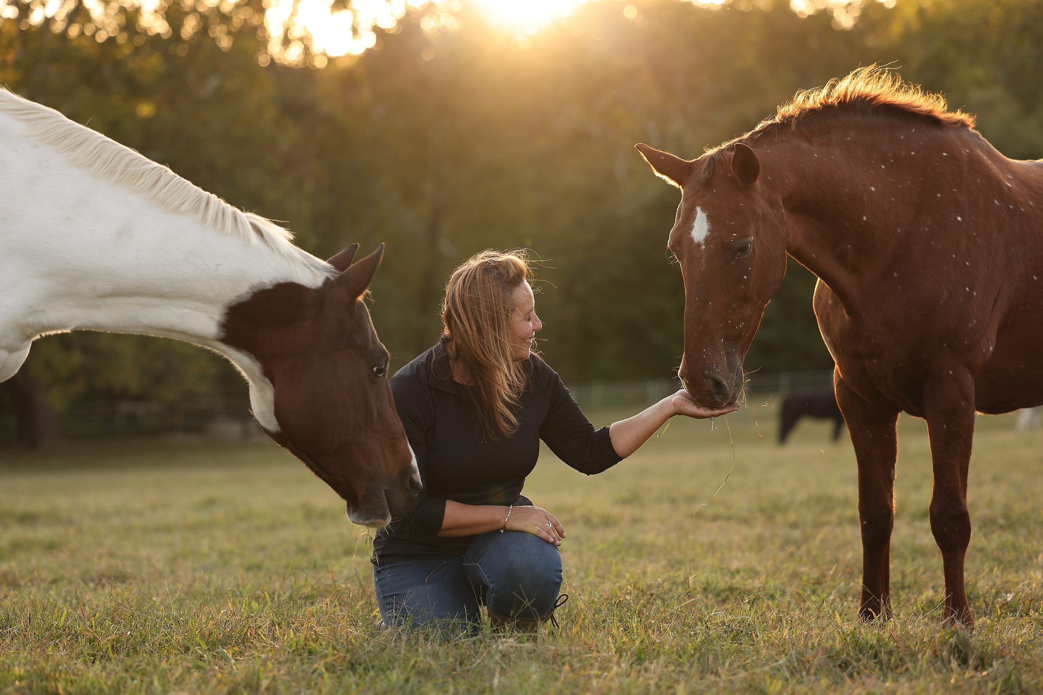 Taizo Son's Wealth: Unpacking His Startup Investments